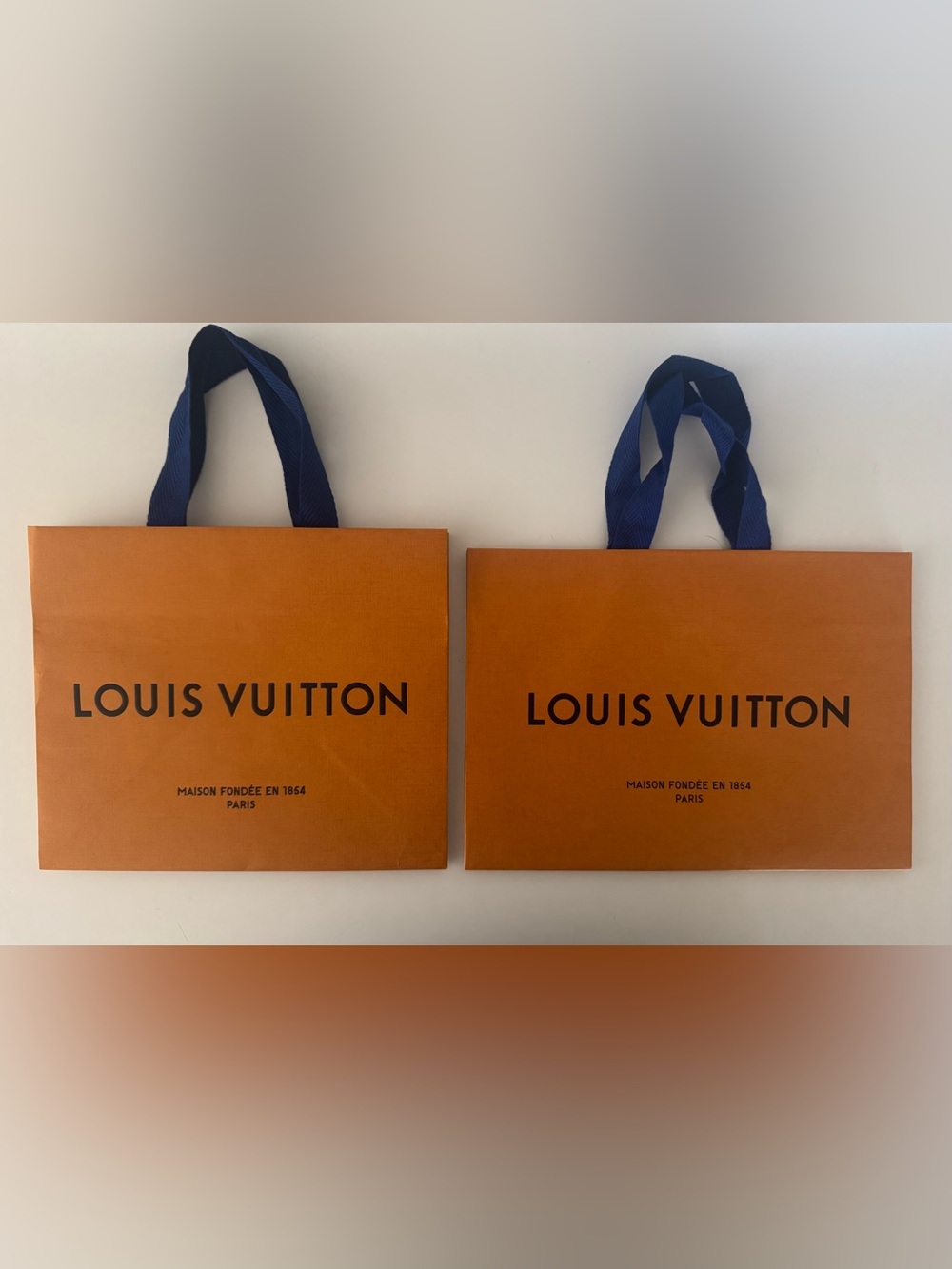 Louis Vuitton Shopping Bags (2)